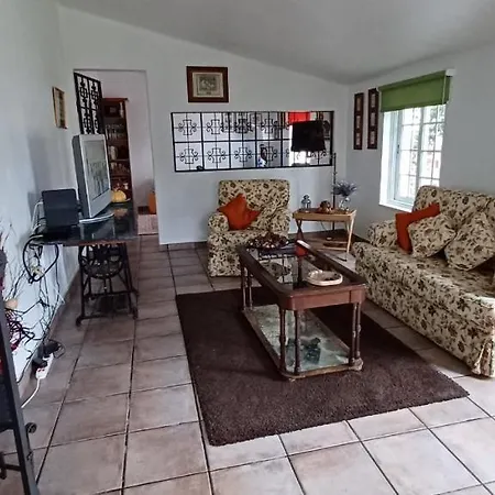 Casa Das 3 Palmeiras Arraiolos Extérieur photo