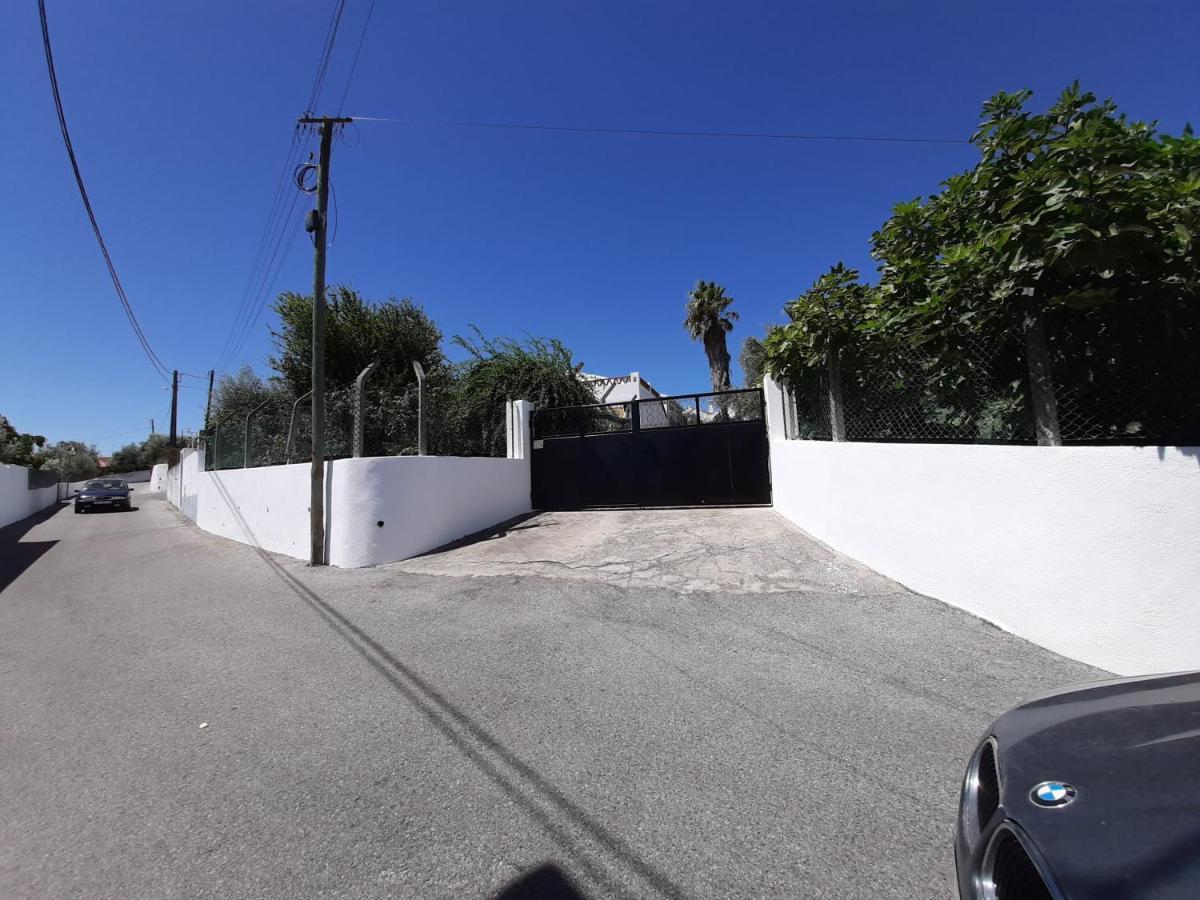 Casa 3 Palmeiras Holiday home *