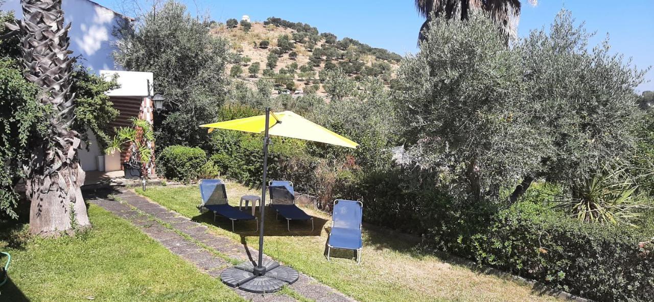 Casa 3 Palmeiras Holiday home Arraiolos